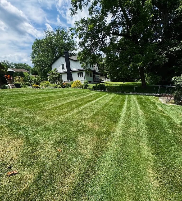 Well-maintained striped lawn in front of a two-story white house with mature trees and green hedges