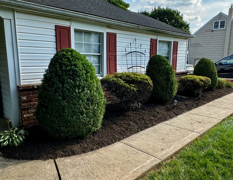 Front of a light blue house with red shutters and burgundy doors, landscaped with rounded green shrubs and dark mulch along a concrete walkway