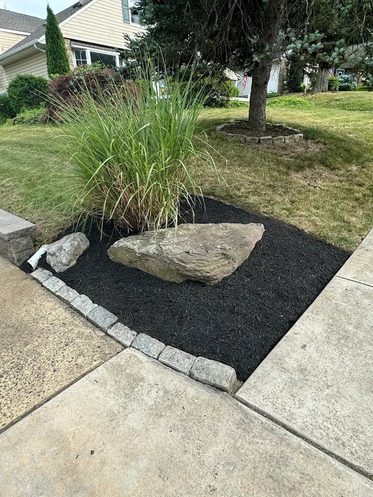 Front yard landscaping with ornamental grass and large stone on black mulch bed, bordered by concrete edging