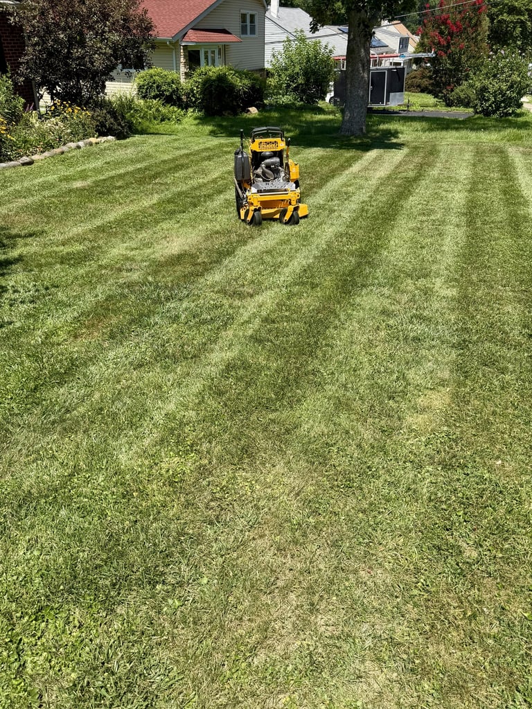 Person operating a yellow and black zero-turn mower cutting diagonal stripes on a residential lawn with houses in the background